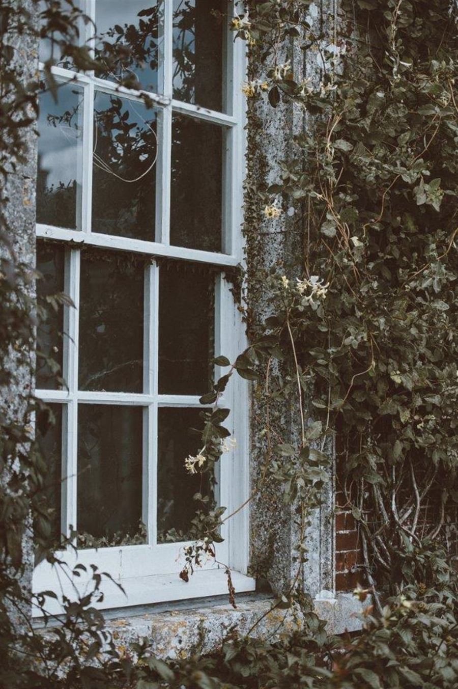 Byggedrømme i haven