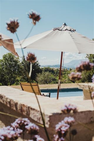 Frisk op dit udendørs område med anlægsgartner Esbjerg