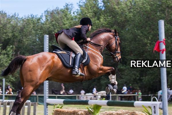 Stort udvalg af ridestøvler