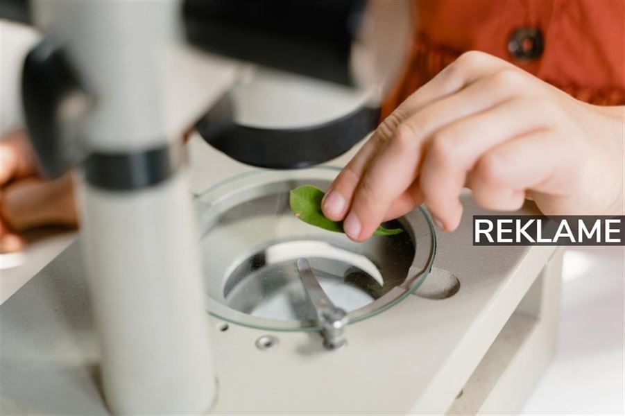 Opgrader din hobby med et mikroskop