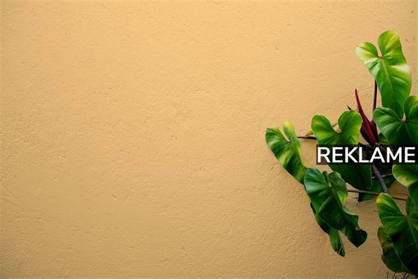 Opfrisk hjemmet med disse idéer