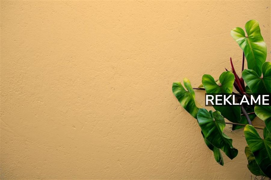 Opfrisk hjemmet med disse idéer