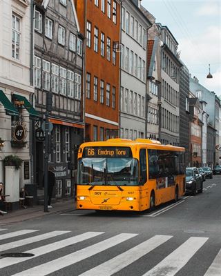 En unikke oplevelse med busrejser danmark